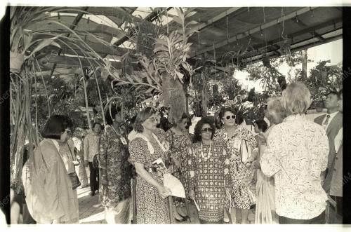 ISTERI G15