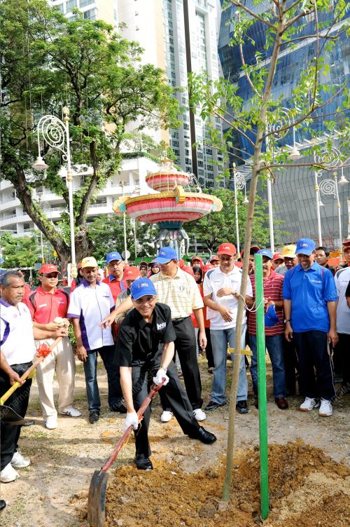 KL11_03022012_RAJA_POKOK