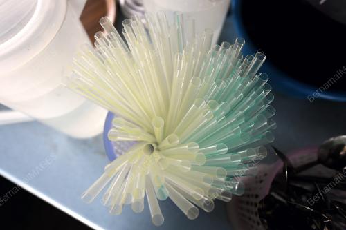 KL11_04012019_STRAW