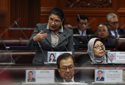 PERSIDANGAN DEWAN NEGARA