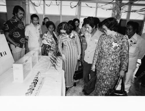PESTA KESIHATAN