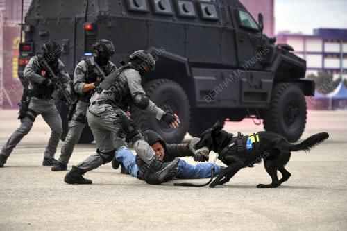 PERSEMBAHAN DEMONSTRASI ANTIKEGANASAN PDRM