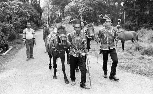 BAJAU HORSEMAN