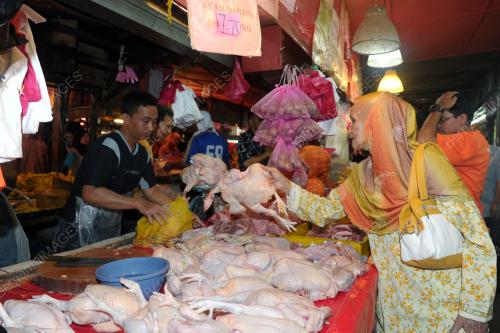 KL11_07082013_AYAM