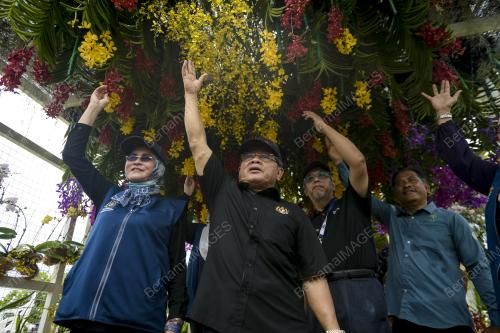 DATUK HALIMAH MOHAMED SADIQUE