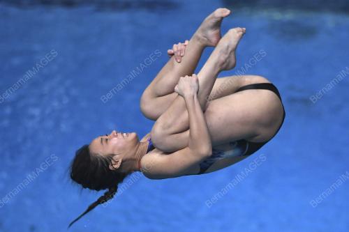 KL11_08092019_3M_SPINGBOARD