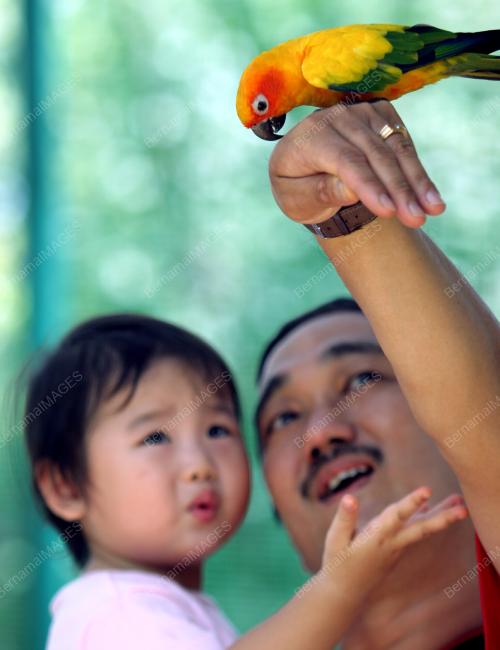 BIRD PARK