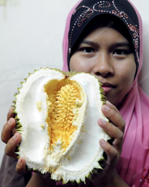 KL11_09082013_SITI_DURIAN