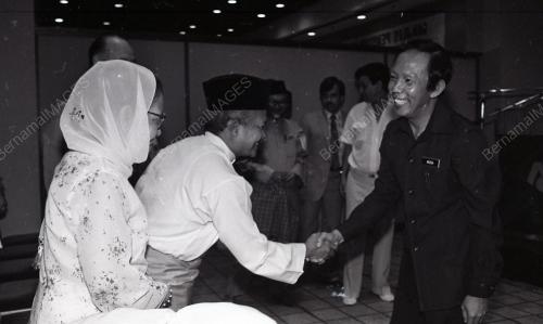 MUSA HITAM