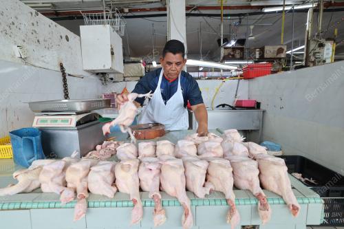 TINJAUAN SUBSIDI HARGA AYAM