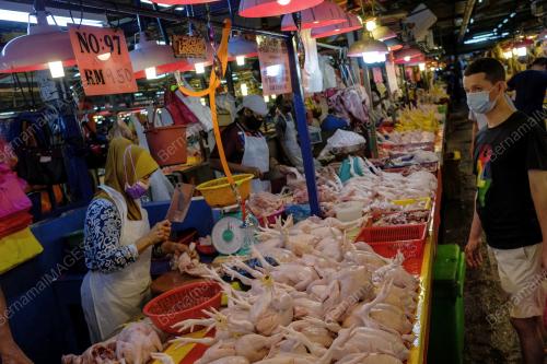 TINJAUAN HARGA AYAM BERSIH