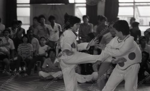 KEJOHANAN TAEKWONDO KEBANGSAAN