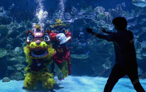 AQUARIA TAHUN BAHARU CINA