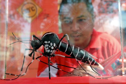 KL11_13072014_AEDES