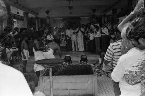 PESTA