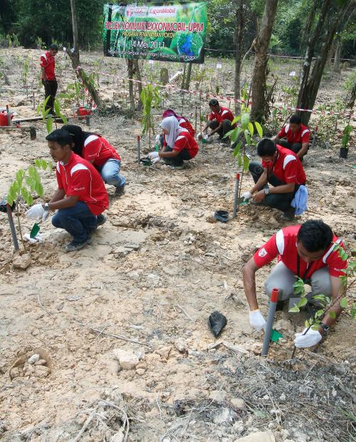 TANAM POKOK