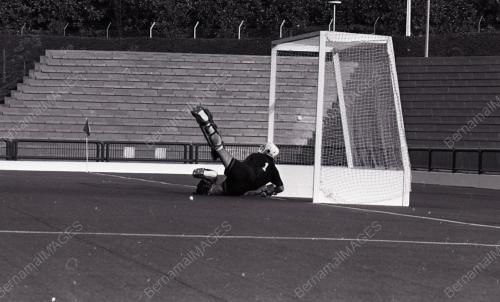 HOKI PIALA DUNIA BELIA KE-2