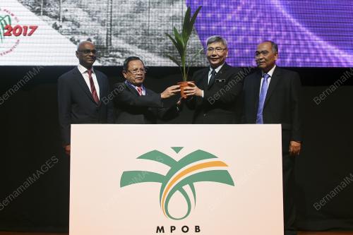 KL11_14112017_PALM_BN201711090859