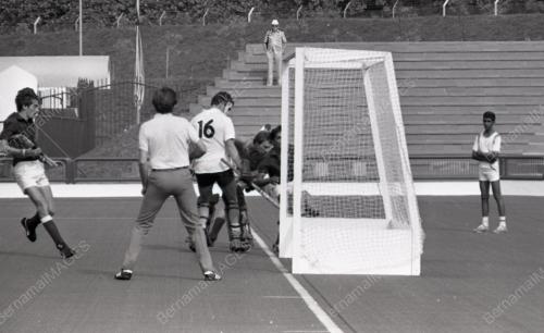 HOKI PIALA DUNIA