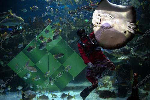 KL11_16062018_AQUARIA
