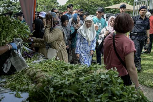 DATUK SERI DR WAN AZIZAH WAN ISMAIL