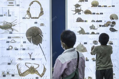 TINJAUAN AKTIVITI HUJUNG MINGGU