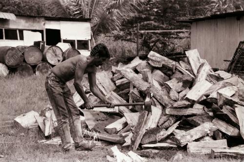 JUAL KAYU API