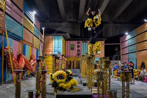 TECK SENG DRAGON & LION DANCE