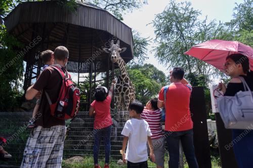 KL11_18022018_ZOO_BN201802179182