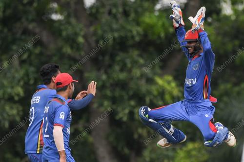 KL11_19112017_KRIKET_BN201711171773