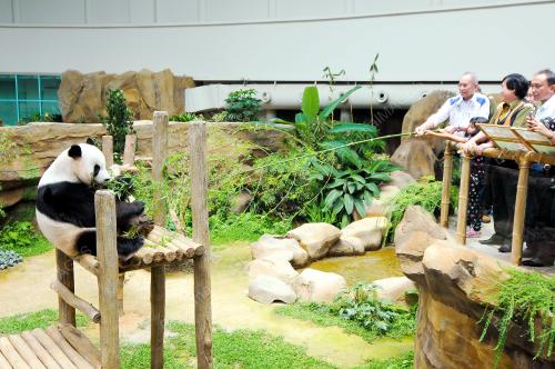 KL11_20092015_ZOO