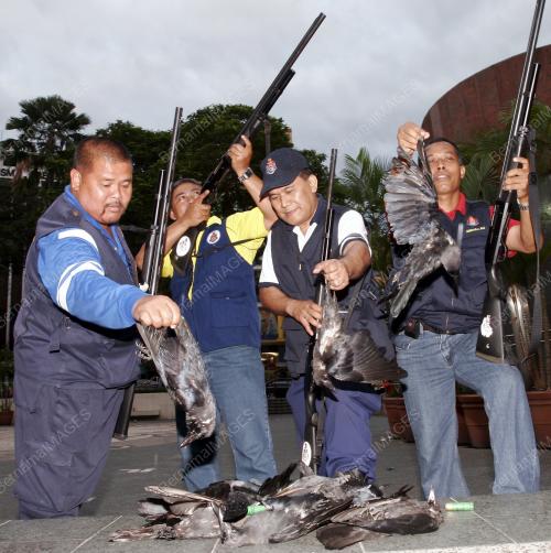 PENGUATKUASA DBKL
