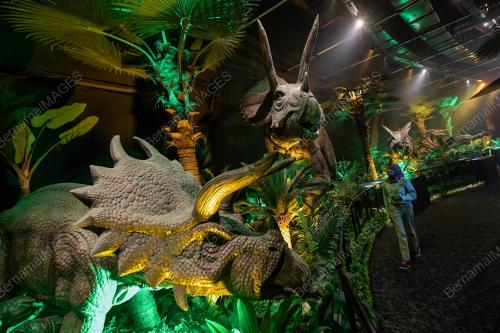 TUKANG JAHIT DINOSAUR DI PAMERAN DINOSAUR ENCOUNTER PUSAT SAINS