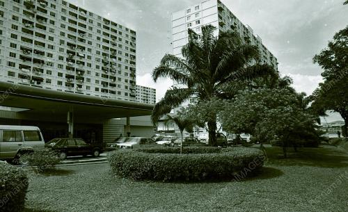 KL11_220690_BUNGA