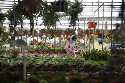 TINJAUAN CUTI HUJUNG MINGGU
