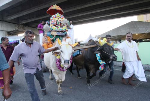 KL11_24012016_THAIPUSAM