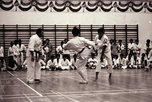 SENI SILAT POLIS
