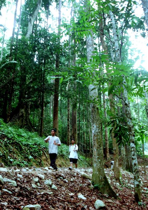 KL11_25_10_2000_HUTANG_14012016