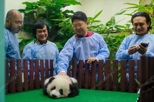 KL11_26052018_PANDA_BN201805239223