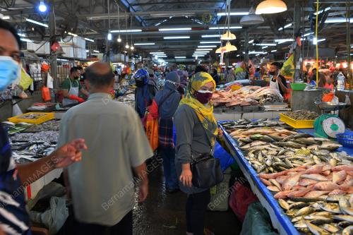 TINJAUAN PROSEDUR OPERASI STANDARD