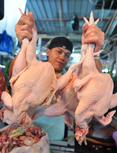 KL11_27072012_PASAR_AYAM