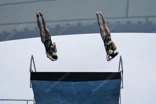 FINA DIVING GRAND PRIX 2022