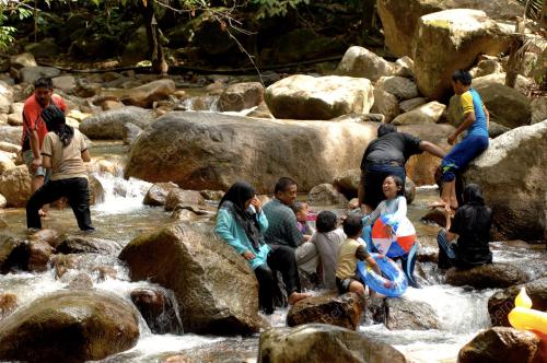 HUTAN LIPUR SUNGAI BANTANG