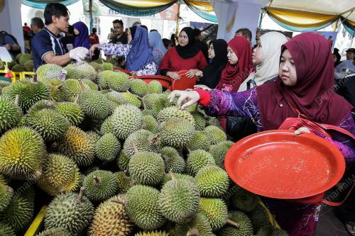 KL11_30072016_DURIAN