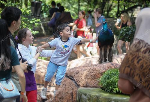 KL11_30122018_TAMAN_BURUNG