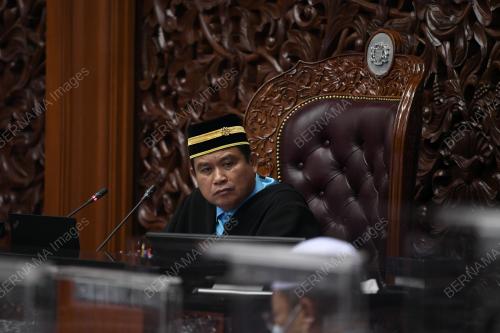 DATUK SERI MOHAMAD ALI