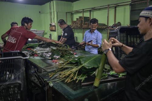 LEMANG DAUN LEREK