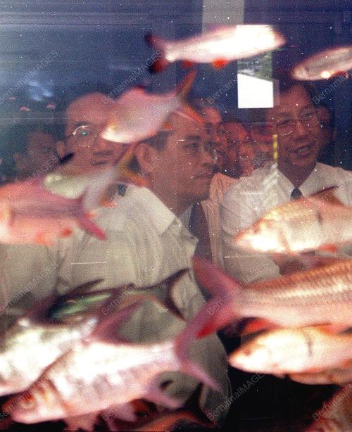 KL12-28_07_2000_EFFENDI-IKAN_11012016