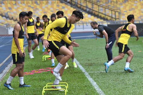 HARIMAU MALAYA