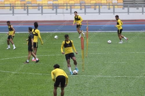 HARIMAU MALAYA